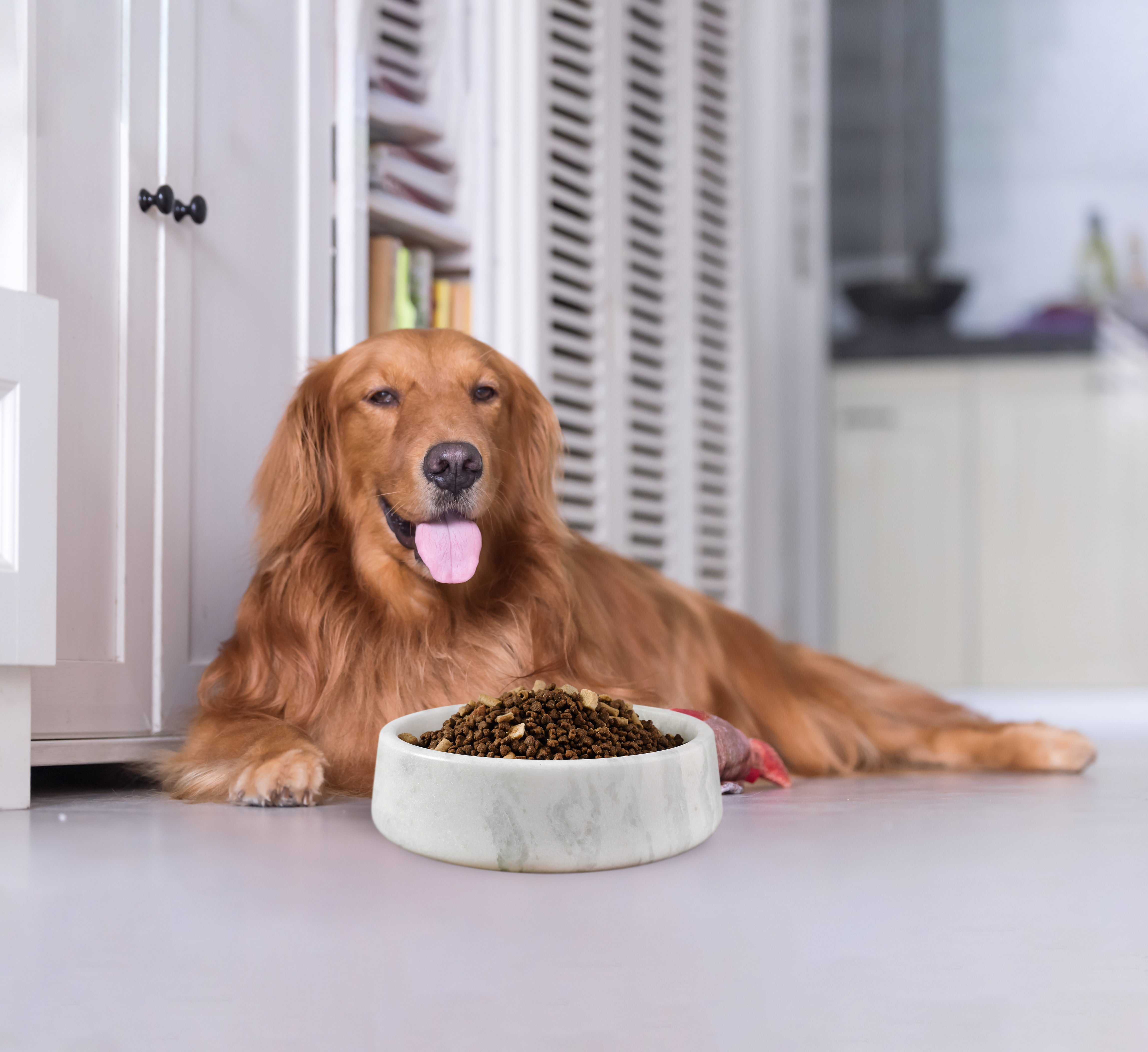 Koville Natural Marble Pet Bowl,9.36 inch-Namib Fantasy