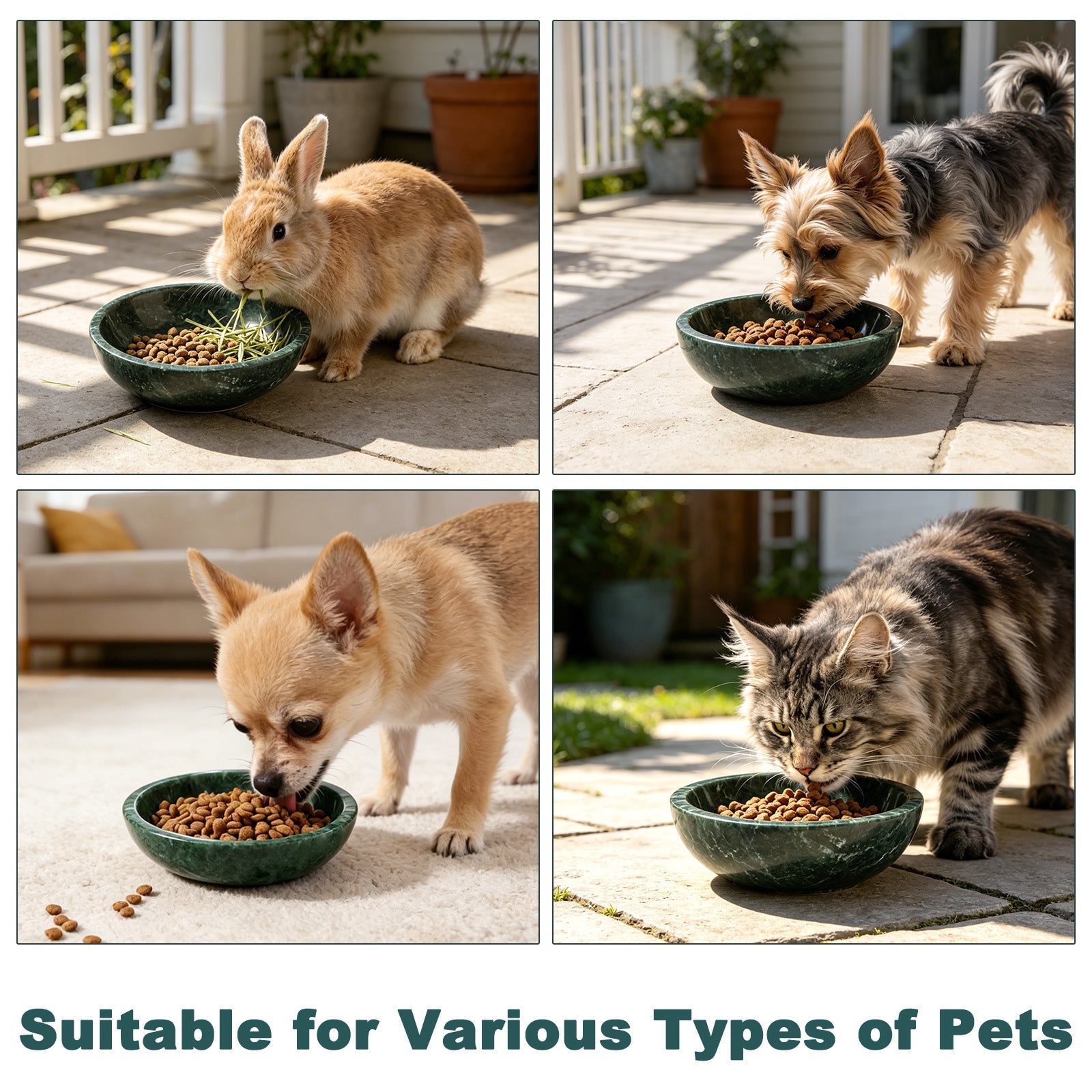 Koville natural stone pet bowl in Indian Green