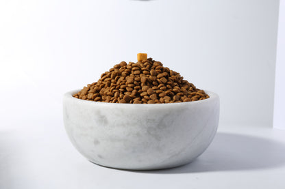 Koville Pet Bowl