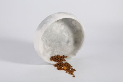 Koville White Pet Bowl 9.36 in – Illuminating Elegant Spaces