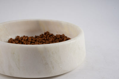 Koville White Pet Bowl 9.36 in – Illuminating Elegant Spaces