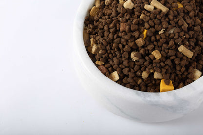 Koville Pet Bowl