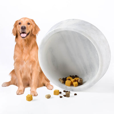 Koville White Dog Bowl – Illuminating Elegant Spaces