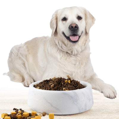 Koville White Dog Bowl – Illuminating Elegant Spaces