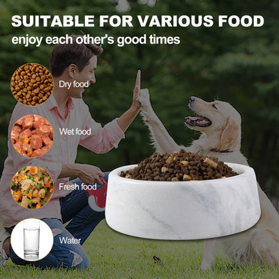 Koville White Dog Bowl – Illuminating Elegant Spaces