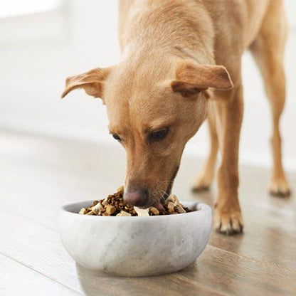 Koville natural stone pet bowl in Grigio Fantasy
