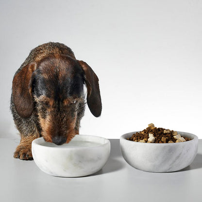 Koville natural stone pet bowl in Grigio Fantasy
