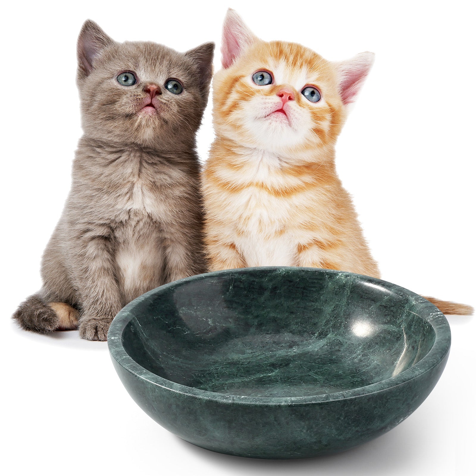 Koville natural stone pet bowl in Indian Green