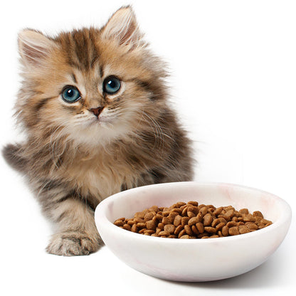 Koville natural stone pet bowl in Namibia Rose