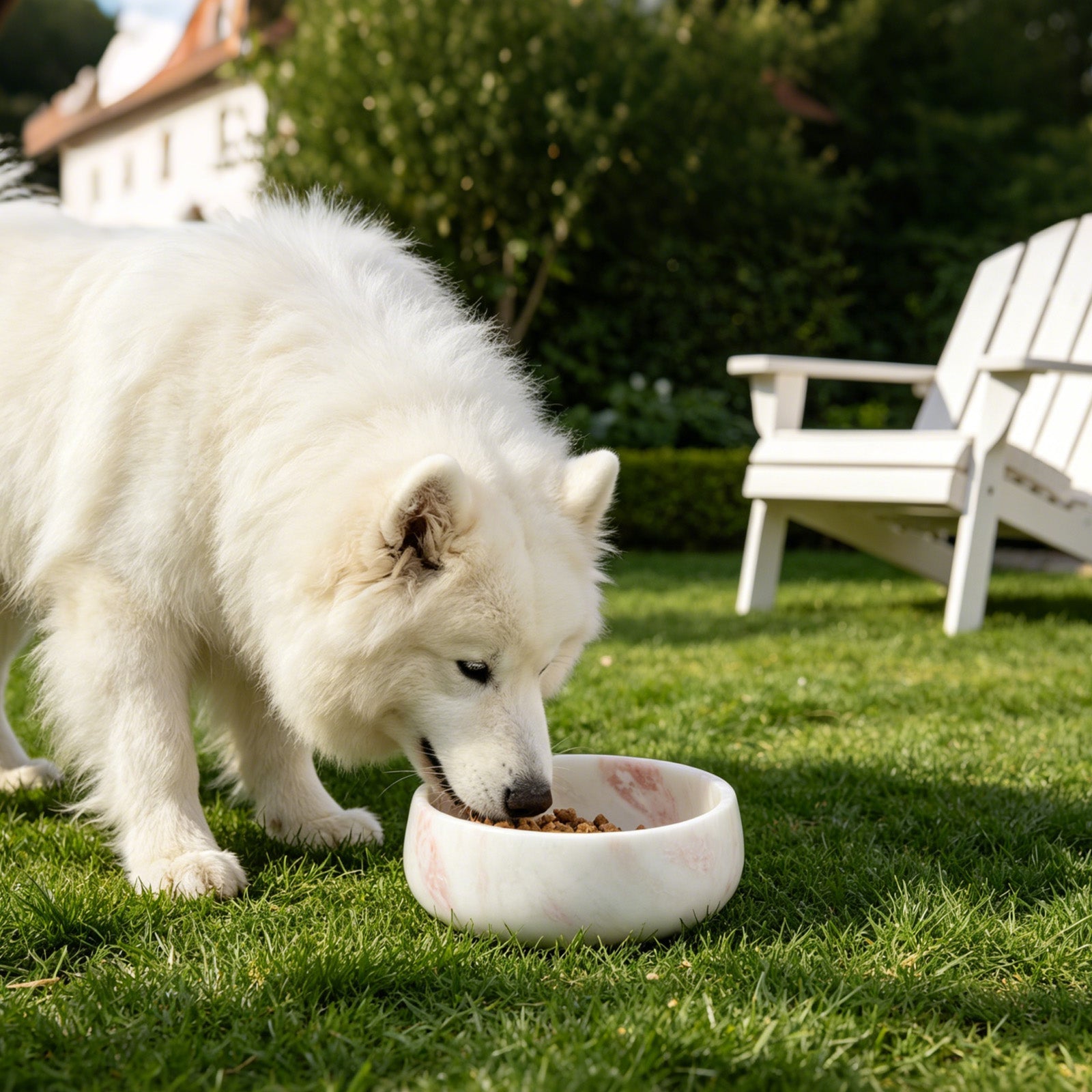 Koville natural stone pet bowl in Namibia Rose
